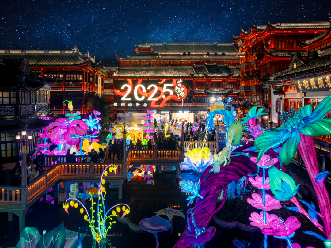 20250106112627_8033 20250106112627_8033