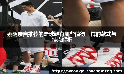 姚明亲自推荐的篮球鞋有哪些值得一试的款式与特点解析