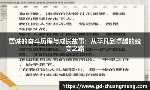 贾诚的奋斗历程与成长故事：从平凡到卓越的蜕变之路
